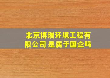 北京博瑞环境工程有限公司 是属于国企吗